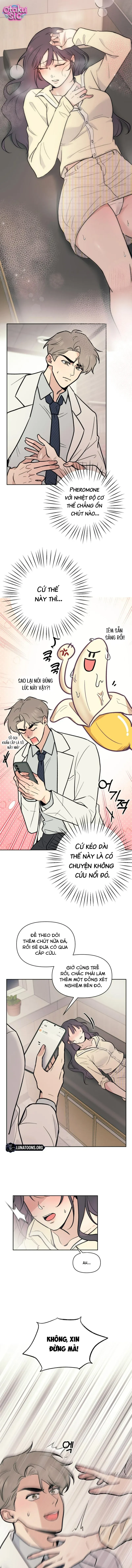 Việc Gì Khó Có Bác Sĩ Lo! - Chap 2 - Trang 2