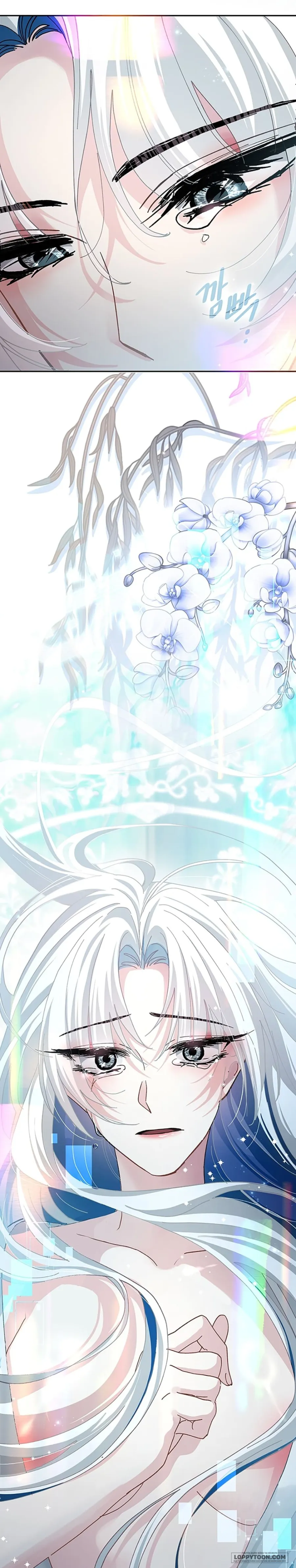 Vùng Đất Khắc Kỷ - Chap 48