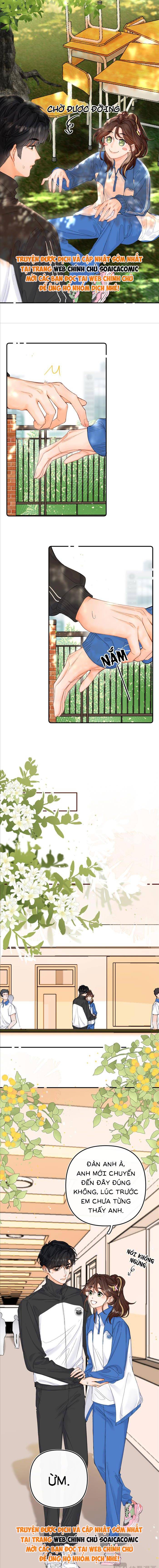 Xin Hãy Chăm Sóc Nhiều Hơn - Chap Xin Hãy Chăm Sóc [...] – Chap 8 - Trang 2