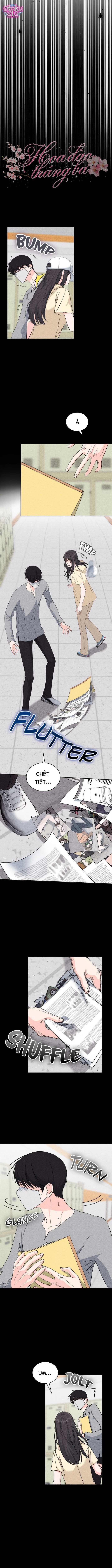 Yêu lại tình cũ - Chap 12